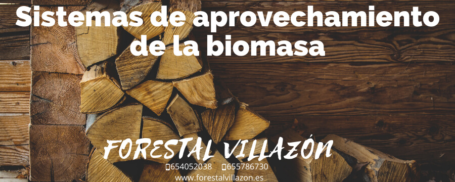 Aprovechamiento de la biomasa