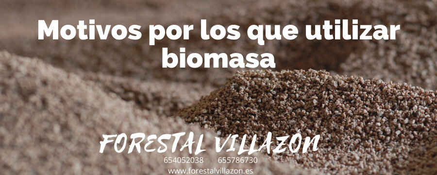 Motivos por los que utilizar biomasa