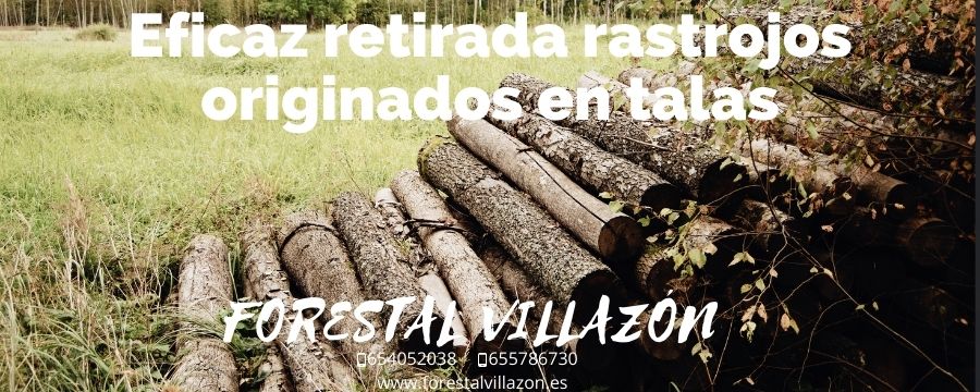 Retirada de rastrojos originados en talas
