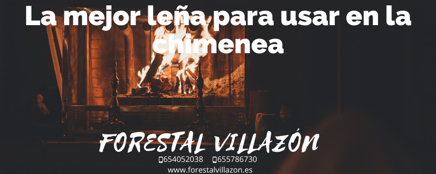 La mejor leña para la chimenea