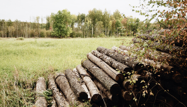 Trabajo forestal en Asturias