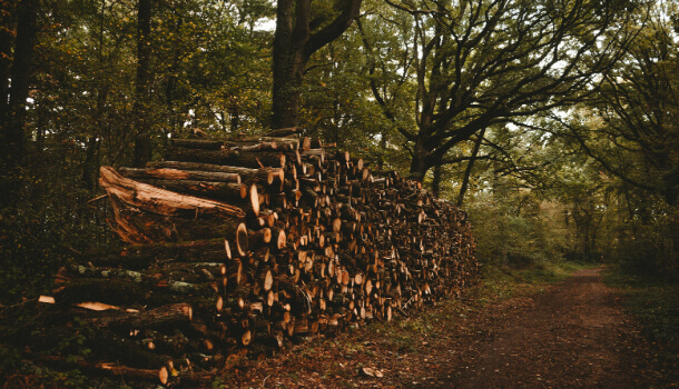 Trabajos forestales en Asturias